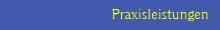 Praxisleistungen